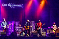 GIN BLOSSOMS in San Diego, California