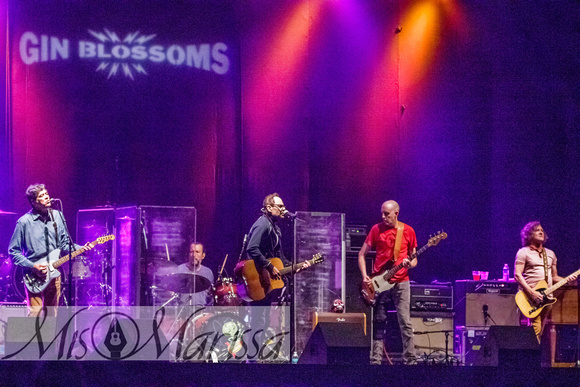 GIN BLOSSOMS in San Diego, California